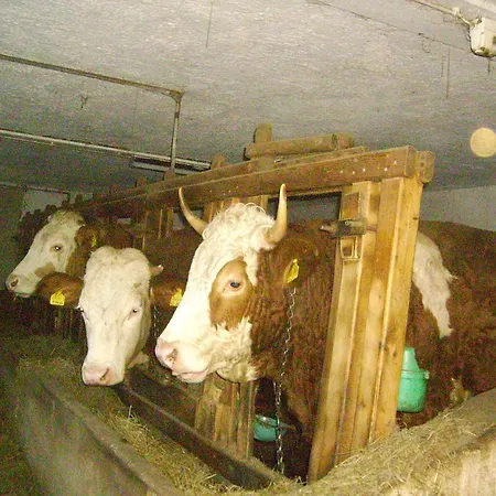 Bauernhof Am Fusse Des Untersbergs Vorderstiedler *
